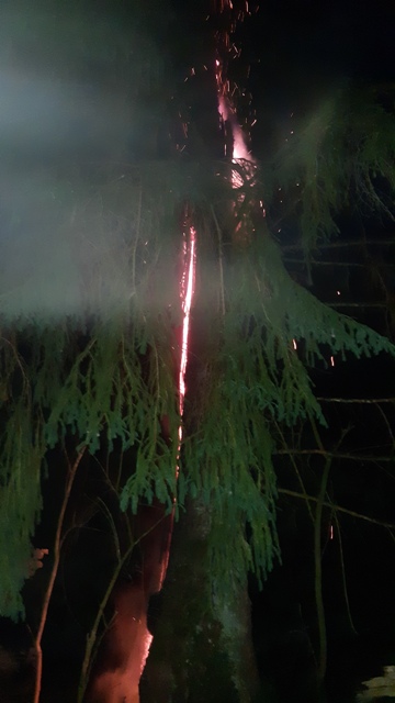 20230608_223301 groß.jpg